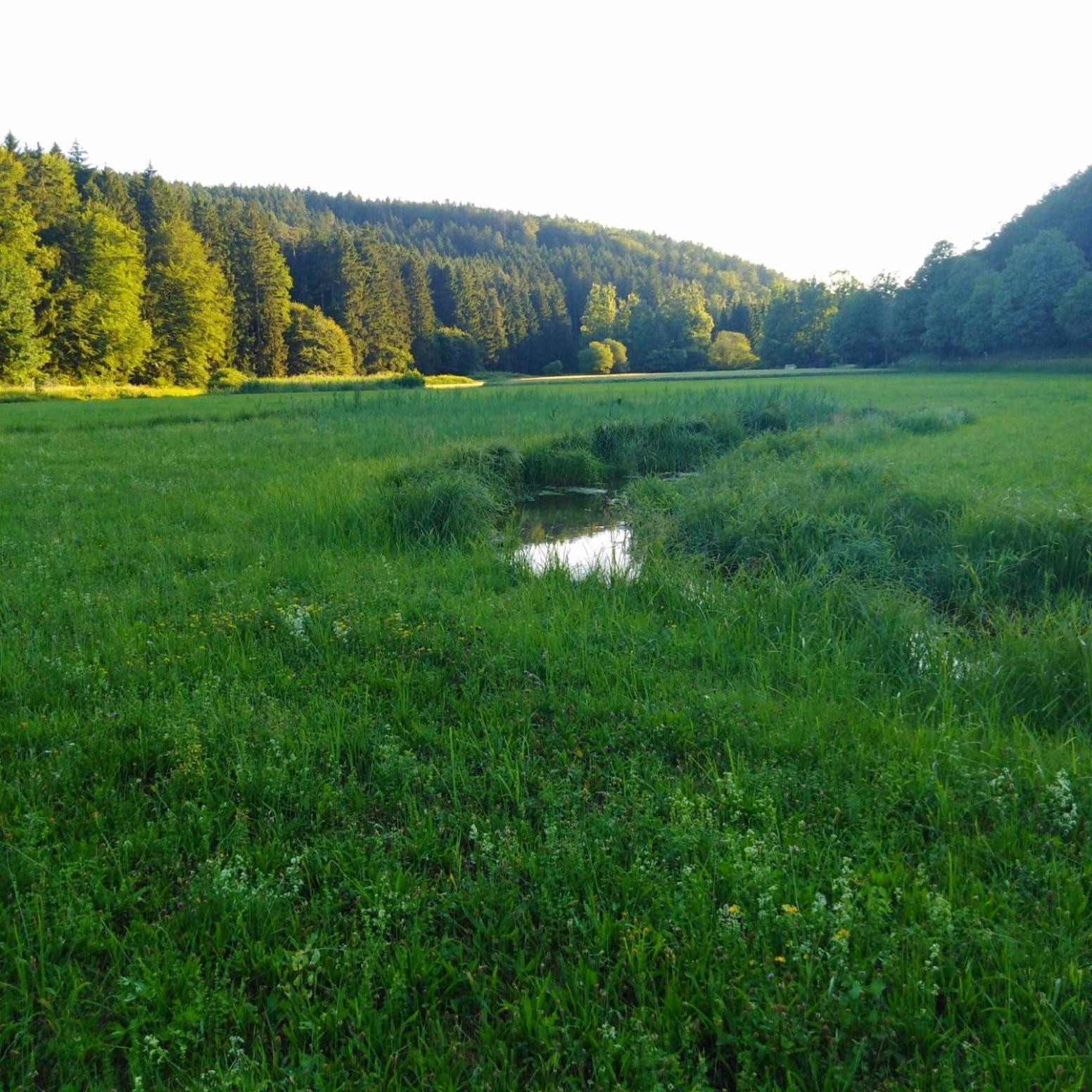 Ferienhaus Am Bach Mit Grossem Garten Deuerling Экстерьер фото